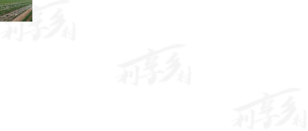 土地图片