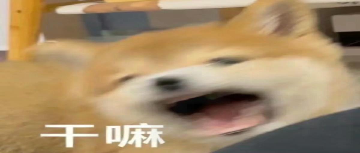 土地图片