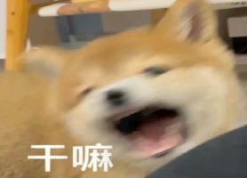 推荐地块